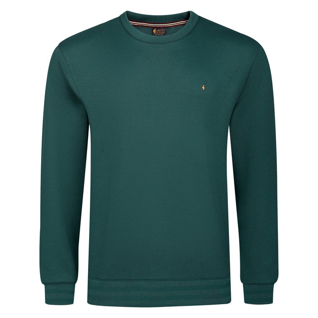 Gabicci G55 Plain Crew Neck Sweatshirt - Ivy Hover Image