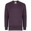Gabicci Jumpers - K01 Classic V Neck - Grape